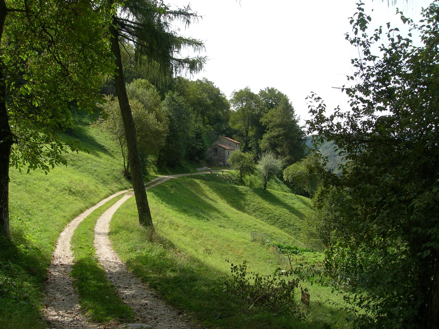 LA GIUSTA DISTANZA - IL CAMMINO 